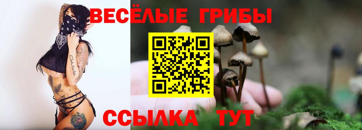 Галлюциногенные грибы мицелий Кушва